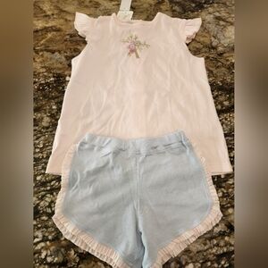 Pink Ruffle Sleeve Top and Blue Striped Shorts Set